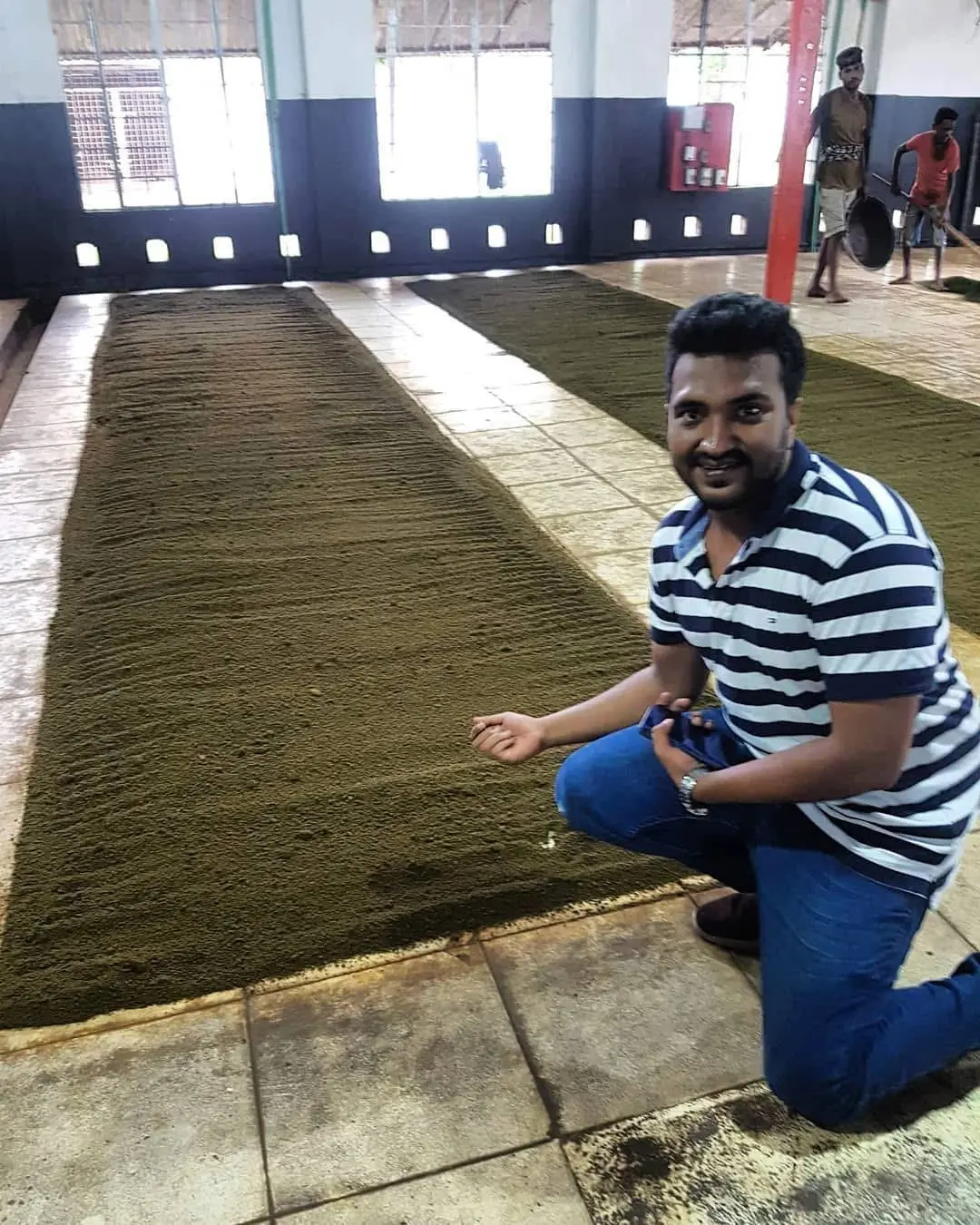 Cyrus inspecting tea spread across a production floor